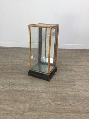 Lot 1310 - AN EARLY 20TH CENTURY TABLE TOP DISPLAY CASE