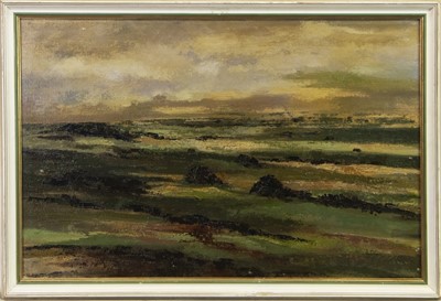 Lot 583 - SHETLAND PEAT BOG, WESTERSKELD, AN OIL BY LOUISE GIBSON ANNAND