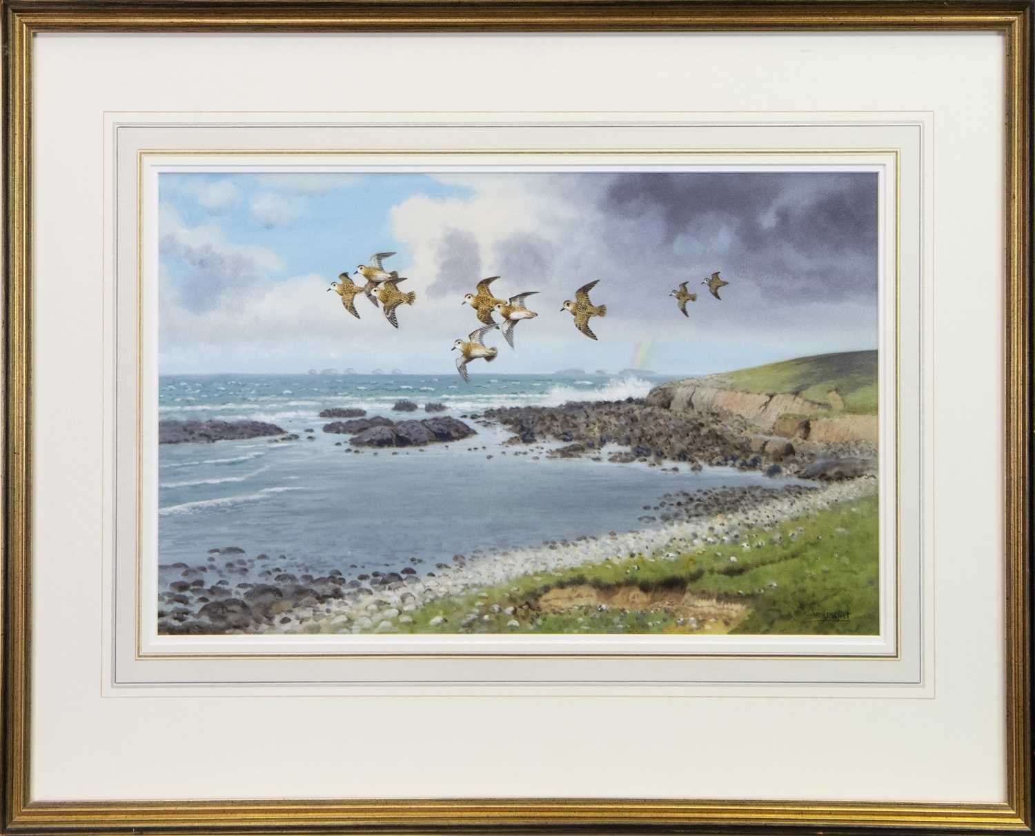 Lot 111 - GOLDEN PLOVERS, NORTH UIST, A WATERCOLOUR BY RICHARD ROBJENT
