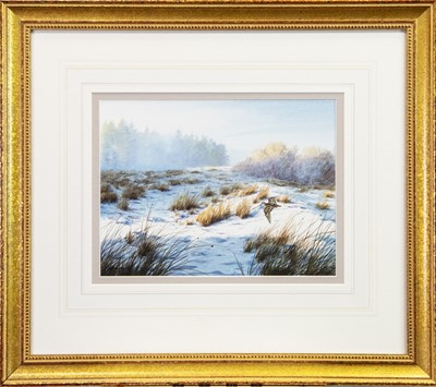 Lot 117 - WINTER SNIPE, A WATERCOLOUR BY OWEN WILLIAMS
