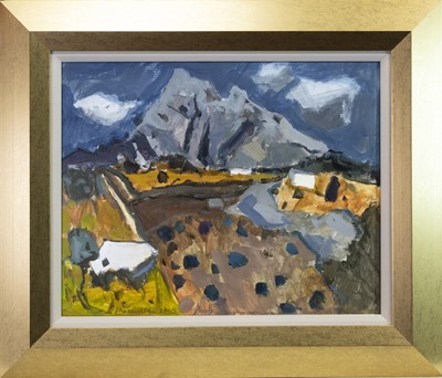 Lot 547 - FROM THE OLD FOOTBALL PITCH OUTSIDE MONTEJAQUE, AN OIL BY SHEILA MACMILLAN