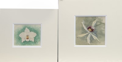 Lot 78 - A COLLECTION OF ORCHIDS, FIVE WATERCOLOURS BY ROBERT EADIE