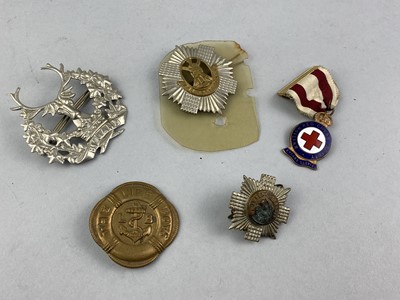 Lot 48 - A COLLECTION OF MILITARY CAP AND OTHER BADGES