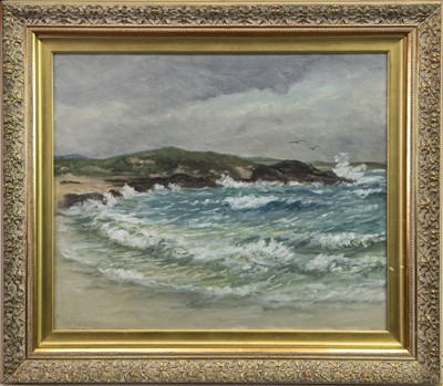 Lot 65 - WAVES CRASHING ON A ROCKY SHORE, AN OIL BY M F FINDLAY