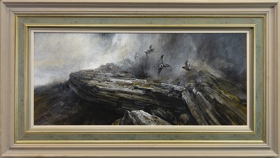 Lot 697 - PEREGRINE FALCON AND GROUSE, AN OIL BY ALAN B HAYMAN