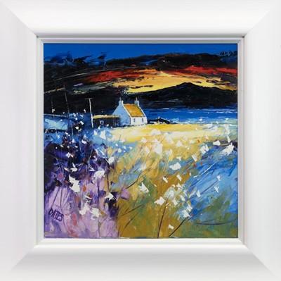 Lot 786 - END OF THE DAY, ARRAN, AN OIL BY MARTIN OATES