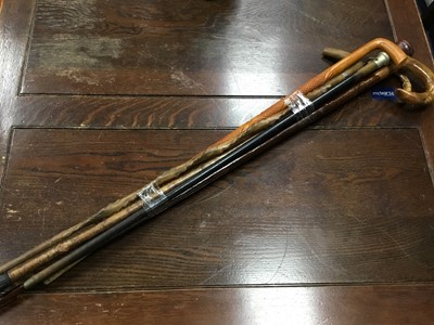 Lot 499 - A LOT OF WALKING STICKS