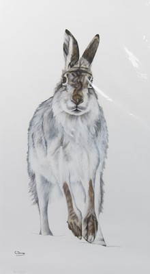 Lot 777 - MOUNTAIN HARE, A COLOUR PRINT BY GILL DAVIES