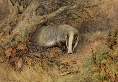 Lot 29 - BADGER, A WATERCOLOUR BY WILLAM WOODHOUSE
