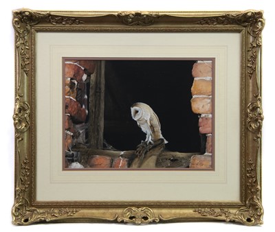 Lot 33 - BARN OWL IN WINDOW, A GOUACHE BY JOHN R MORRIS