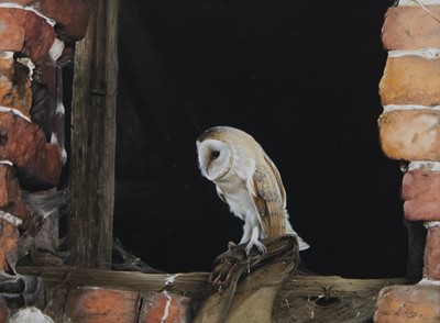 Lot 33 - BARN OWL IN WINDOW, A GOUACHE BY JOHN R MORRIS
