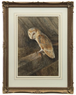 Lot 34 - BARN OWL, A WATERCOLOUR BY WILLIAM WOODHOUSE