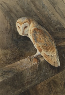 Lot 34 - BARN OWL, A WATERCOLOUR BY WILLIAM WOODHOUSE