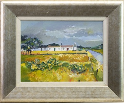 Lot 616 - YELLOW FIELDS, DUMFRIESHIRE, AN OIL BY DAVY BROWN