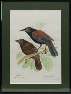 Lot 513 - A COLLECTION OF FIVE BIRD STUDIES