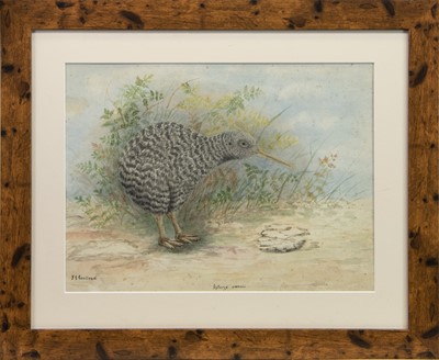 Lot 531 - A COLLECTION OF FOUR BIRD STUDIES
