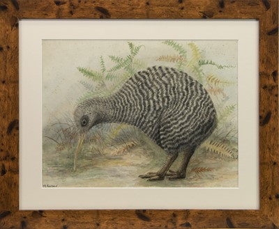 Lot 531 - A COLLECTION OF FOUR BIRD STUDIES