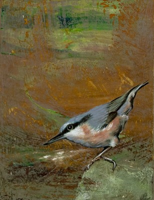 Lot 618 - NUTHATCH, AN OIL BY ROS GREEN