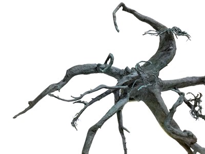 Lot 199 - BRONZE SCULPTURE OF TREE ROOTS, BY FANNY LAM CHRISTIE