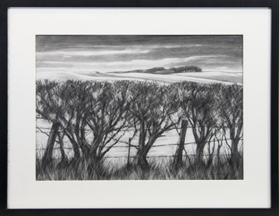 Lot 564 - WINTER HEDGEGROW A GRAPHITE BY KEN GRIERSON
