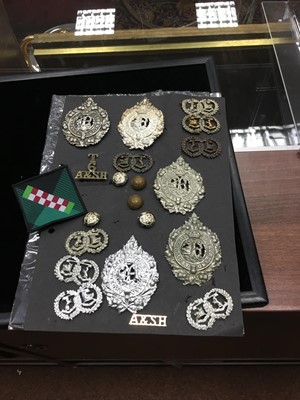 Lot 1404 - A COLLECTION OF METAL CAP BADGES AND OTHER INSIGNIA