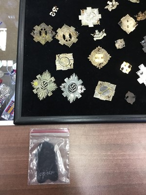 Lot 1414 - A COLLECTION OF METAL CAP BADGES AND OTHER INSIGNIA