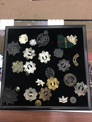 Lot 1414 - A COLLECTION OF METAL CAP BADGES AND OTHER INSIGNIA