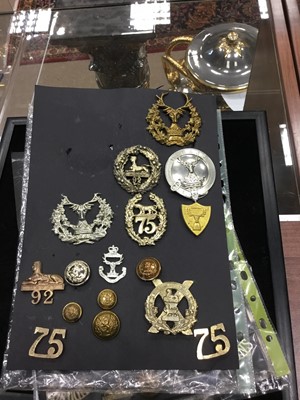 Lot 1416 - A COLLECTION OF METAL CAP BADGES AND OTHER INSIGNIA