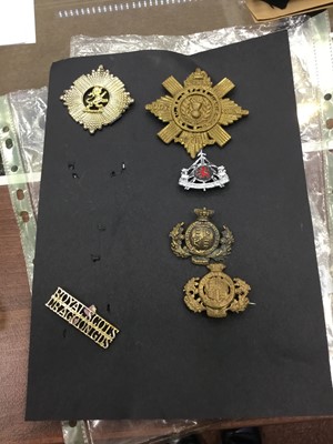 Lot 1417 - A COLLECTION OF METAL CAP BADGES AND OTHER INSIGNIA