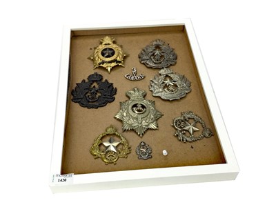Lot 1420 - A COLLECTION OF METAL HELMET AND CAP BADGES AND OTHER INSIGNIA