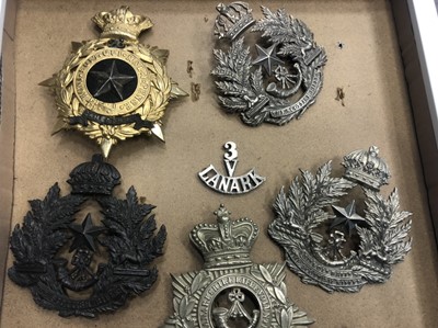 Lot 1420 - A COLLECTION OF METAL HELMET AND CAP BADGES AND OTHER INSIGNIA