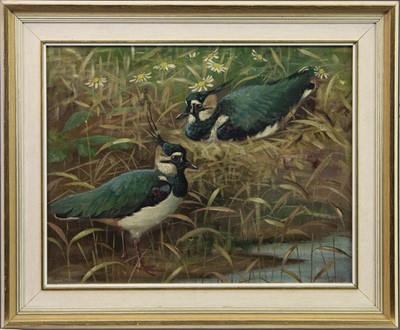 Lot 680 - LAPWINGS, AN OIL BY RALSTON GUDGEON