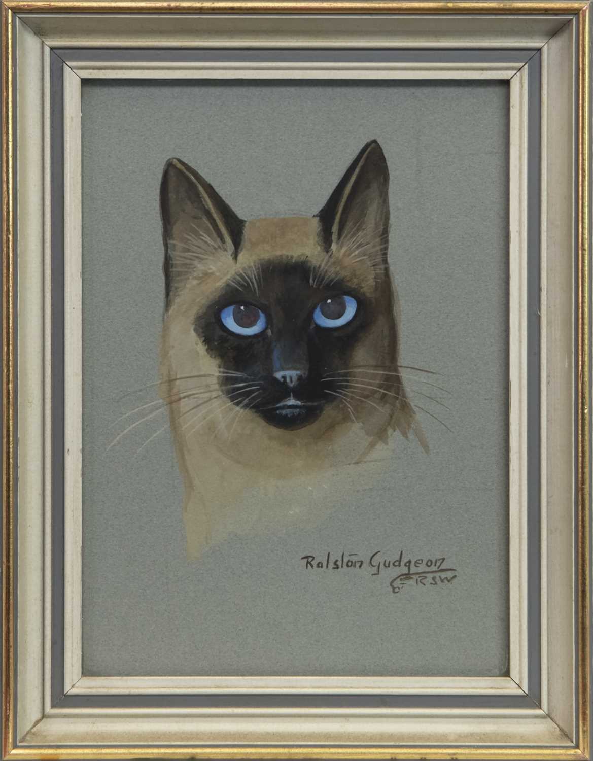 Lot 14 - SIAMESE CAT, A GOUACHE BY RALSTON GUDGEON