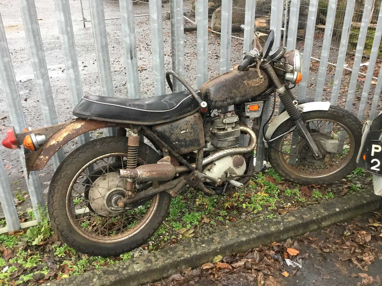 triumph bikes 250cc