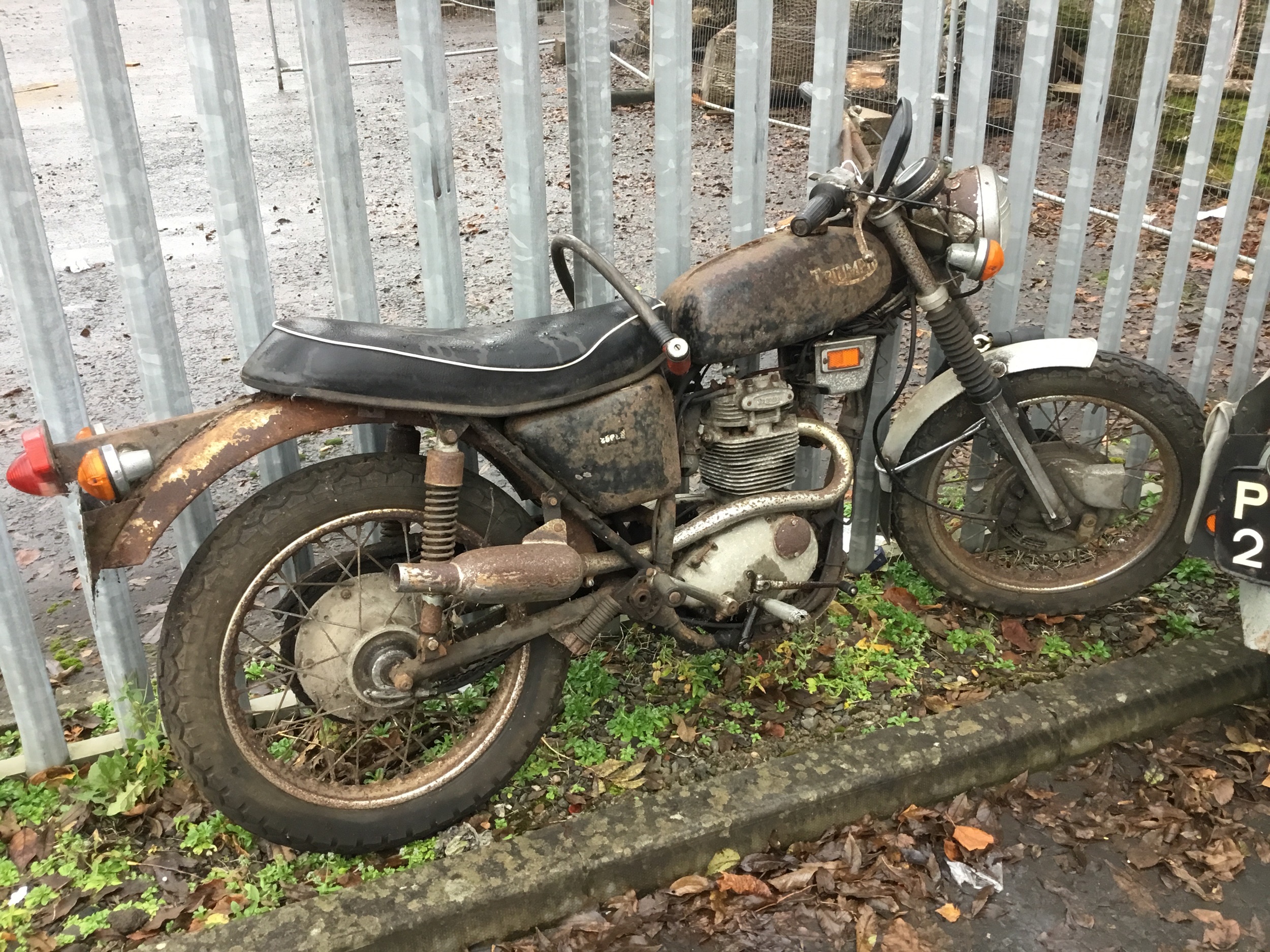 triumph bikes 250cc