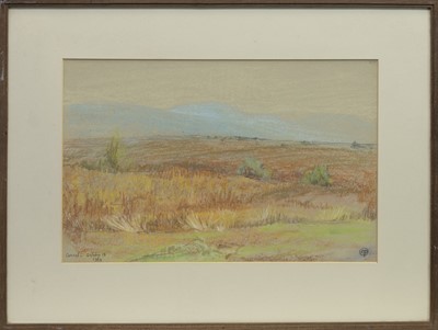 Lot 61 - BEN CRUACHAN FROM CONNEL, A PATSTEL BY MARY YATES