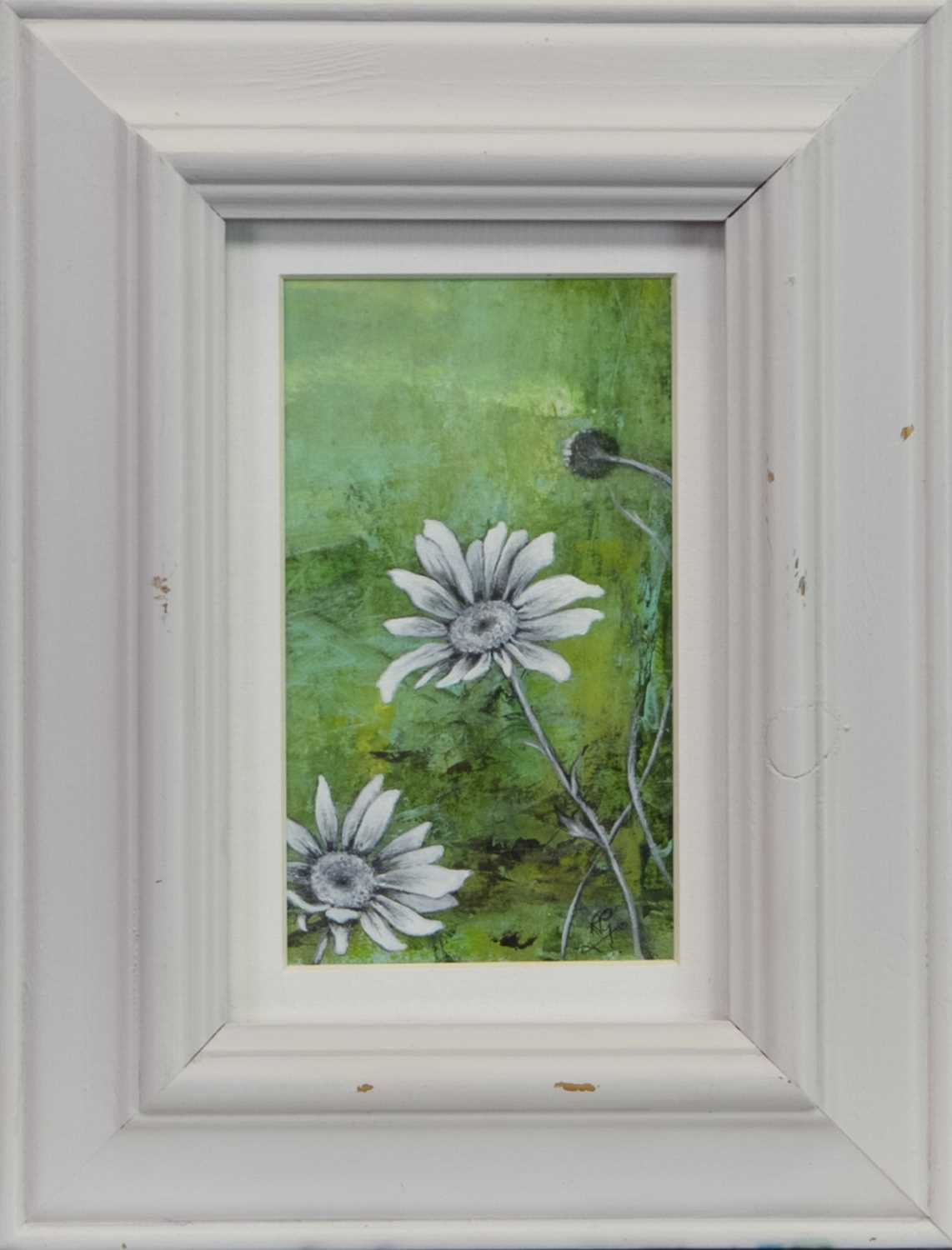 Lot 508 - SPRING DAISIES, AN OIL DIPTYCH BY ROS GREEN