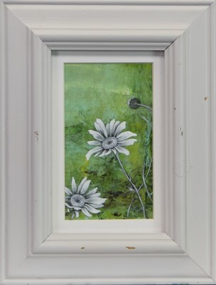 Lot 508 - SPRING DAISIES, AN OIL DIPTYCH BY ROS GREEN