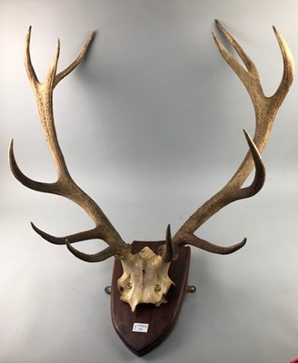 Lot 211 - A SET OF ANTLERS