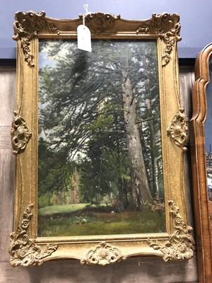 Lot 549 - A 20TH CENTURY BRITISH SCHOOL, WOODLAND SCENE