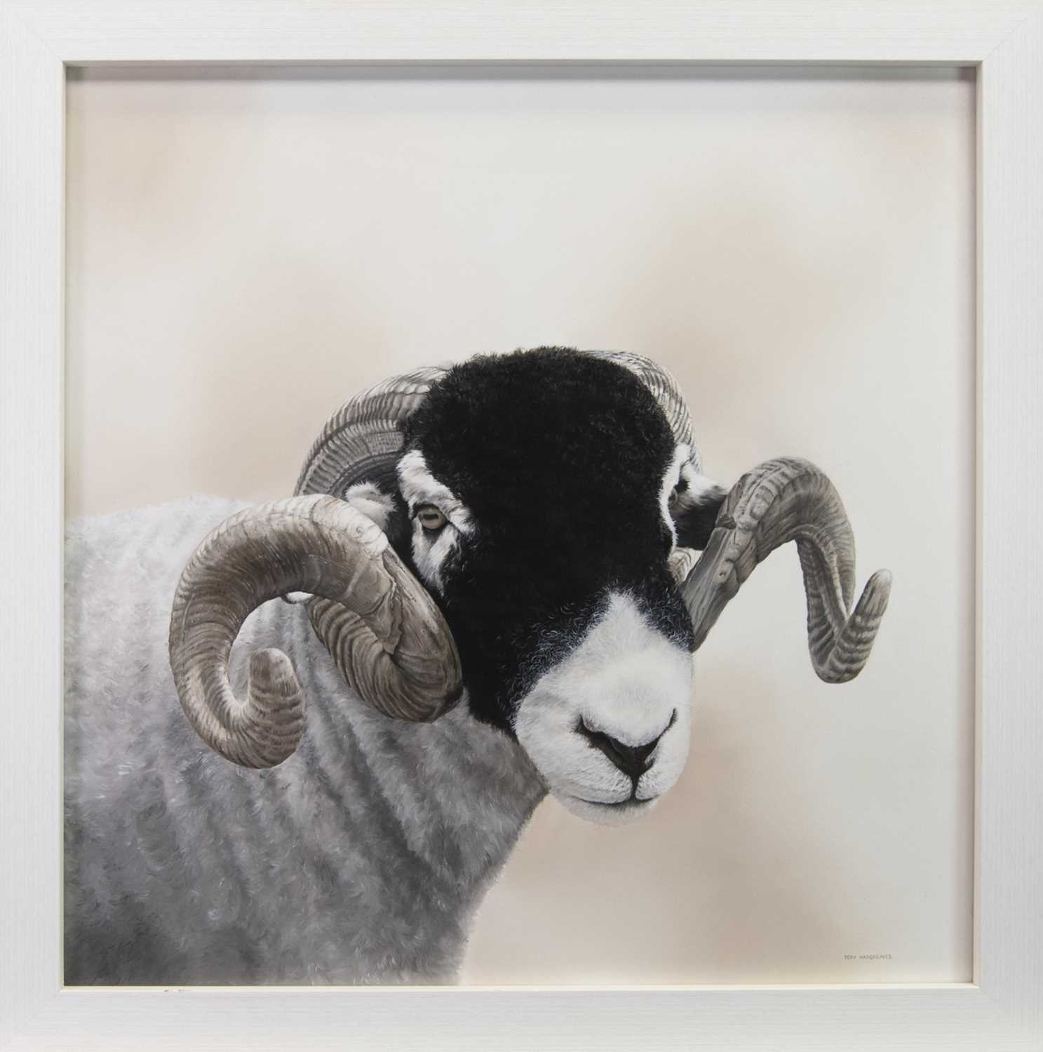 Lot 152 - STARE DOWN, AN OIL BY TONI HARGREAVES