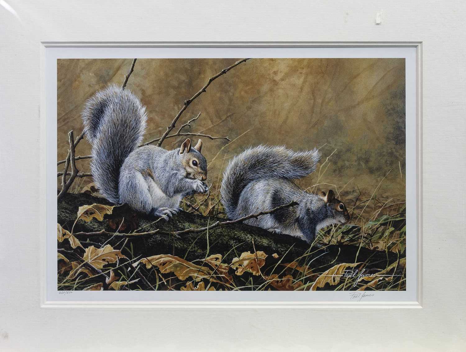 Lot 485 - ANIMAL SELECTIONS, A PRINT BY PAUL JAMES