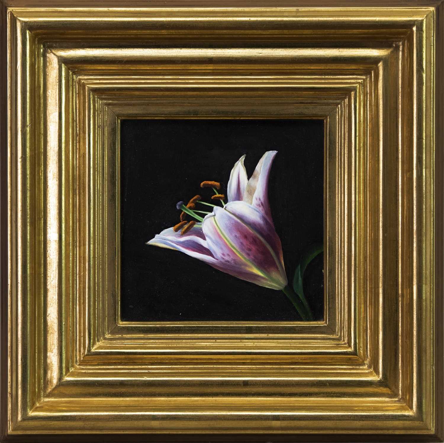 Lot 530 - TIGER LILY, AN OIL BY DAVID WARRILLOW
