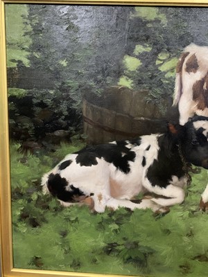 Lot 99 - TWO CALVES, AN OIL BY DAVID GAULD