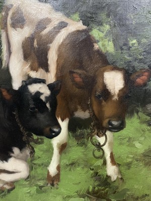 Lot 99 - TWO CALVES, AN OIL BY DAVID GAULD