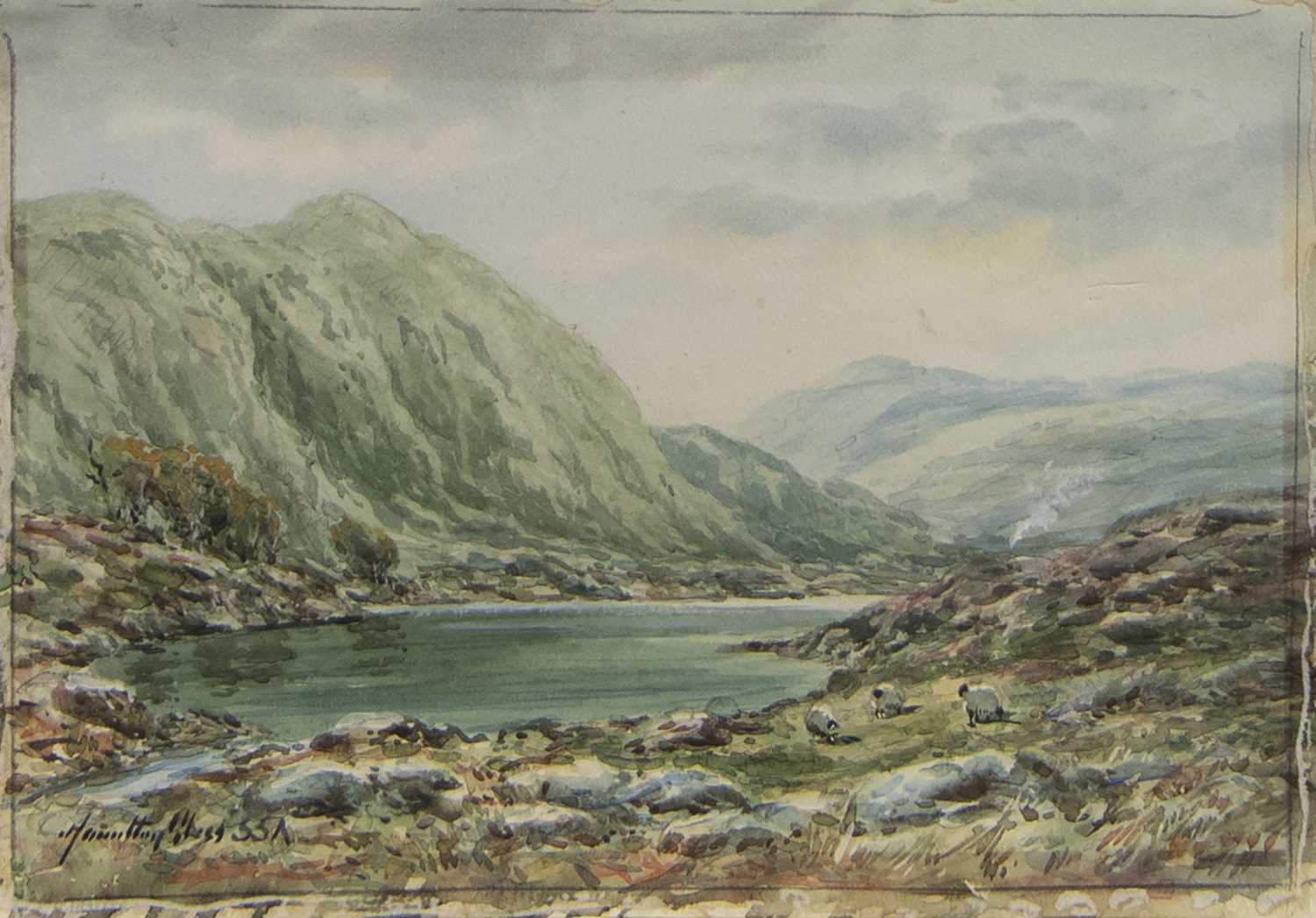 Lot 501 - SHEEP AT THE LOCH, A SCOTTISH WATERCOLOUR