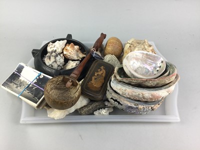 Lot 12 - A COLLECTION OF SHELLS, POSTCARDS AND A TREEN WALLET