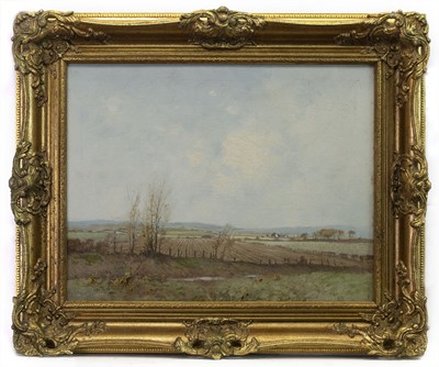 Lot 553 - AN UNTITLED OIL BY TOM CAMPBELL