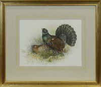 Lot 1232 - * DIANNE SUTHERLAND SBA, CAPERCAILLIES...