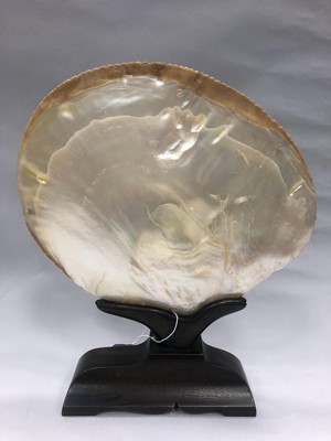 Lot 890 - CHINESE ABALONE SHELL ON WOOD STAND, 19th...
